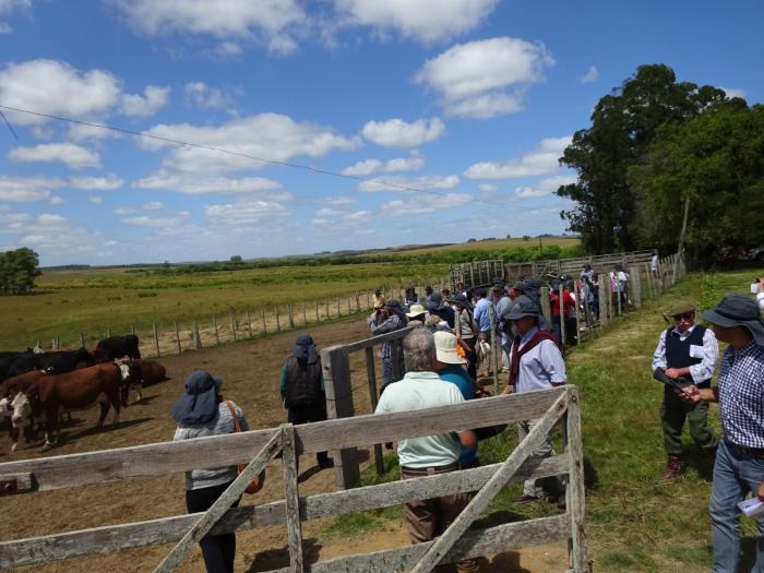 jornada de productores/as