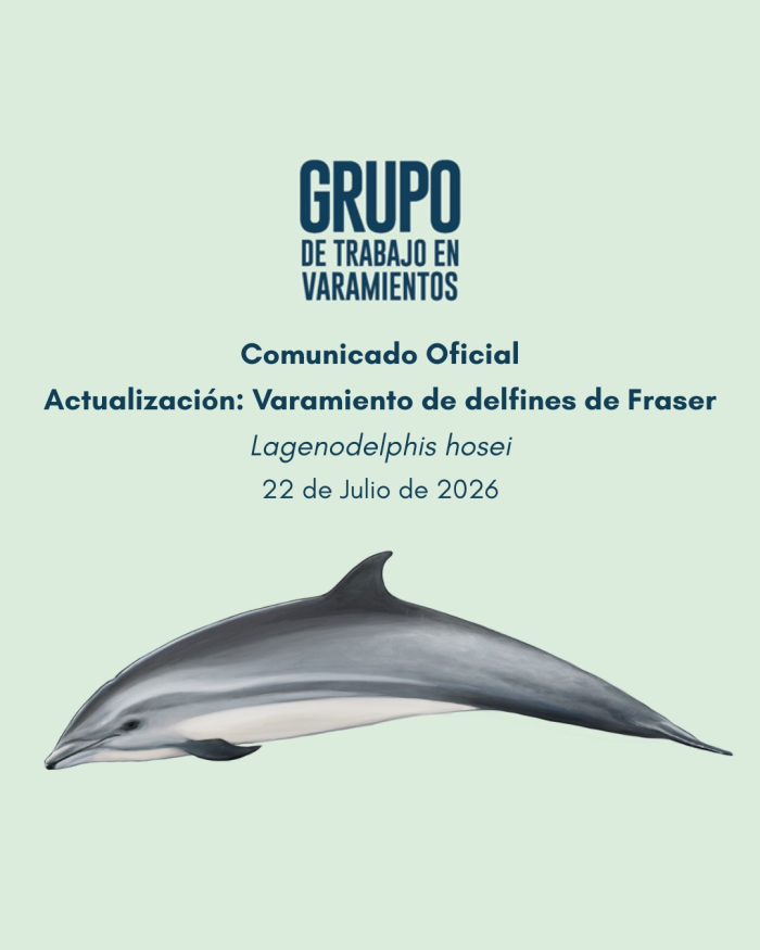 Comunicado: Varamiento de delfines Comunicado: Varamiento de delfines