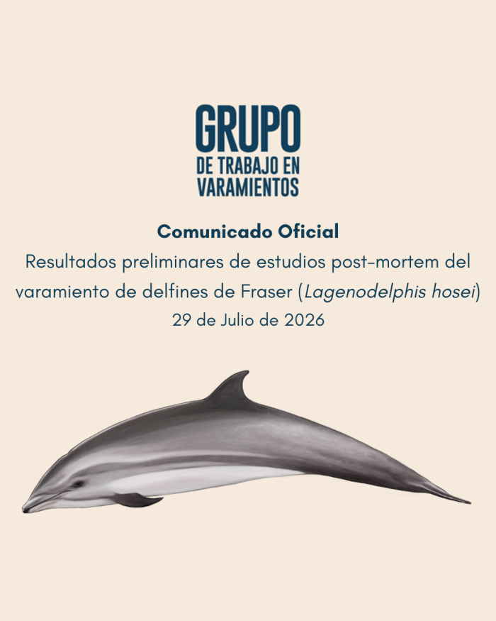 Comunicado: Varamiento de delfines Comunicado: Varamiento de delfines