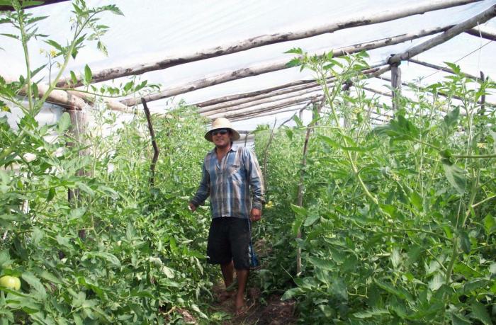 Colombia se suma a la REAF con su Sección Nacional imagen productor hortícola