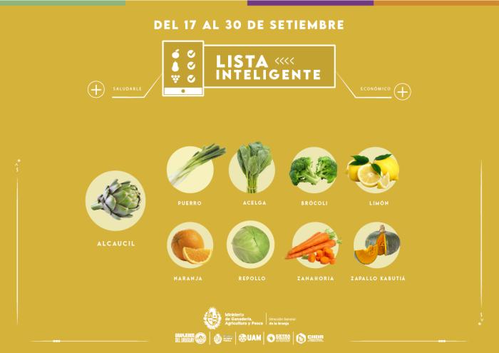 Lista inteligente SET