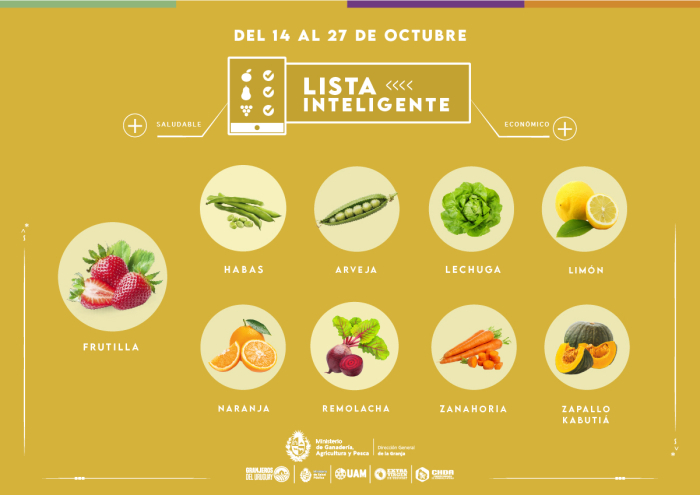 Lista inteligente OCT Lista inteligente OCT