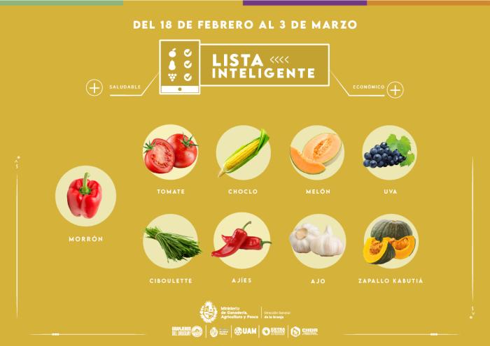 Lista inteligente FEB Lista inteligente FEB