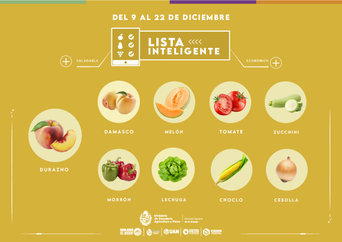 Lista inteligente DIC Lista inteligente DIC