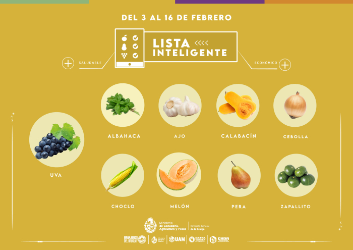 Lista inteligente FEB