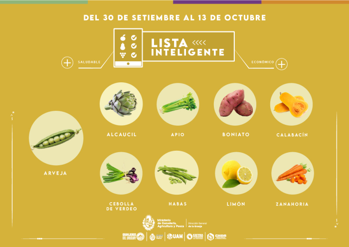Lista inteligente SET