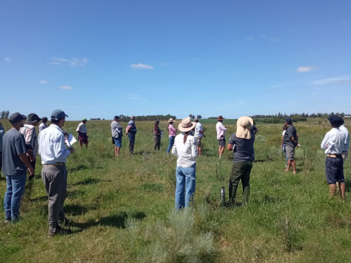 Capacitación pastoreo racional a productores de SAE