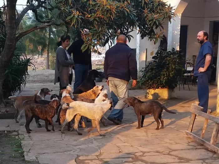 Dueños y voluntarios colaborando