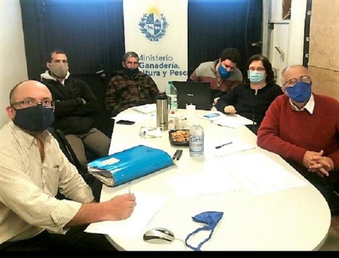 Participantes Participantes