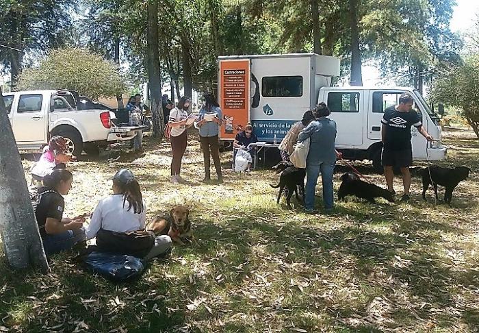 Dueños y voluntarios colaborando