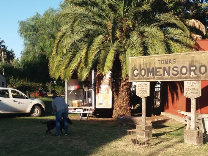 Jornada de castraciones caninas en Tomas Gomensoro