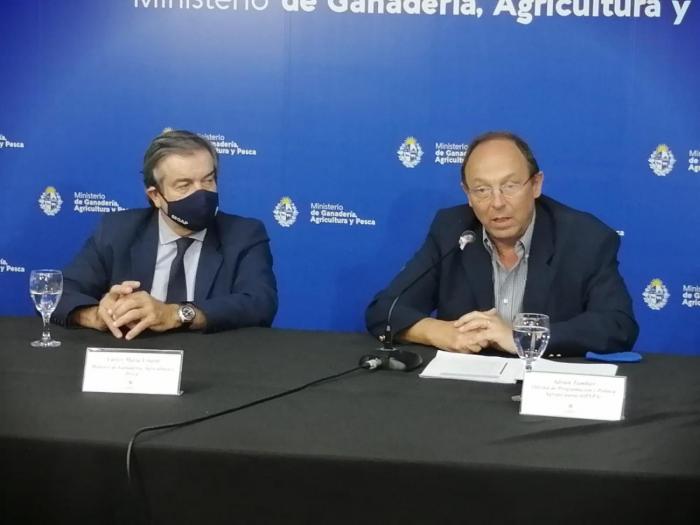 Presentación del Anuario 2020