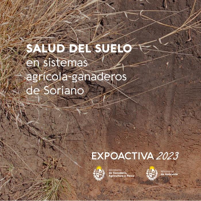 Charla sobre suelo Charla sobre suelo