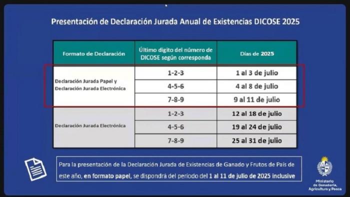 Calendario DJ 2025 Calendario DJ 2025