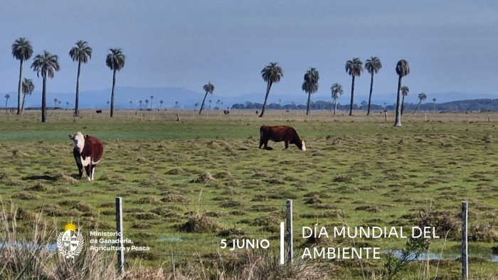 5 de junio - Día Mundial del Ambiente 5 de junio - Día Mundial del Ambiente