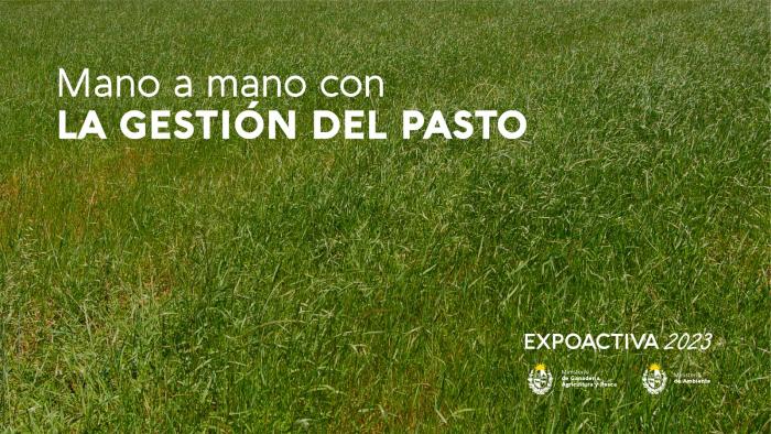 Charla Charla