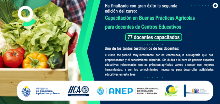 BPA para Docentes BPA para Docentes