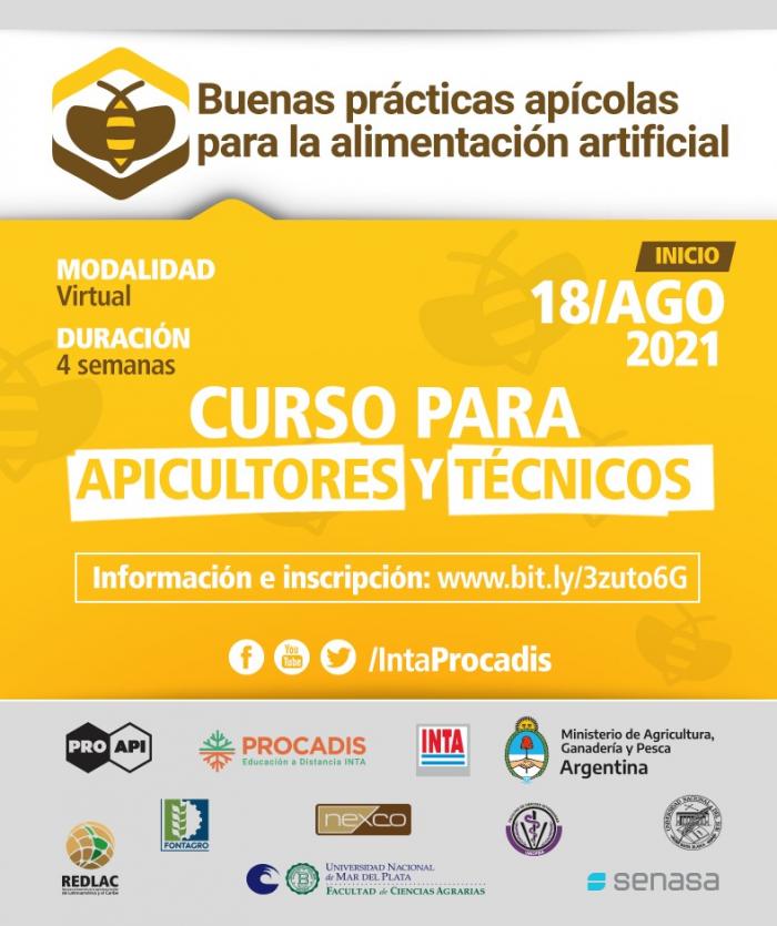 curso inta