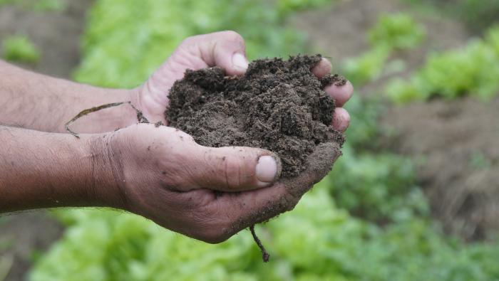 Agroecología