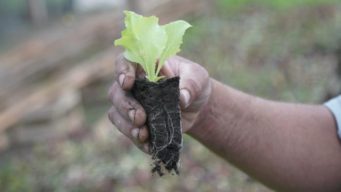 Agroecología