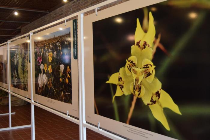 Muestra fotográfica “El campo Natural y sus servicios ecosistémicos