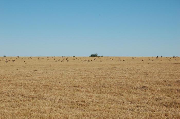 "campo con sequía"