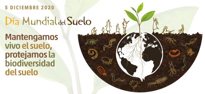 Logo internacional Día Mundial del Suelo