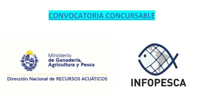 Convocatoria