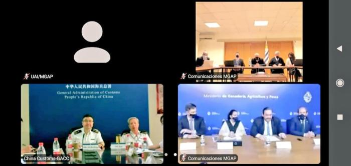 VI reunión de Medidas Sanitarias y Fitosanitarios VI reunión de Medidas Sanitarias y Fitosanitarios