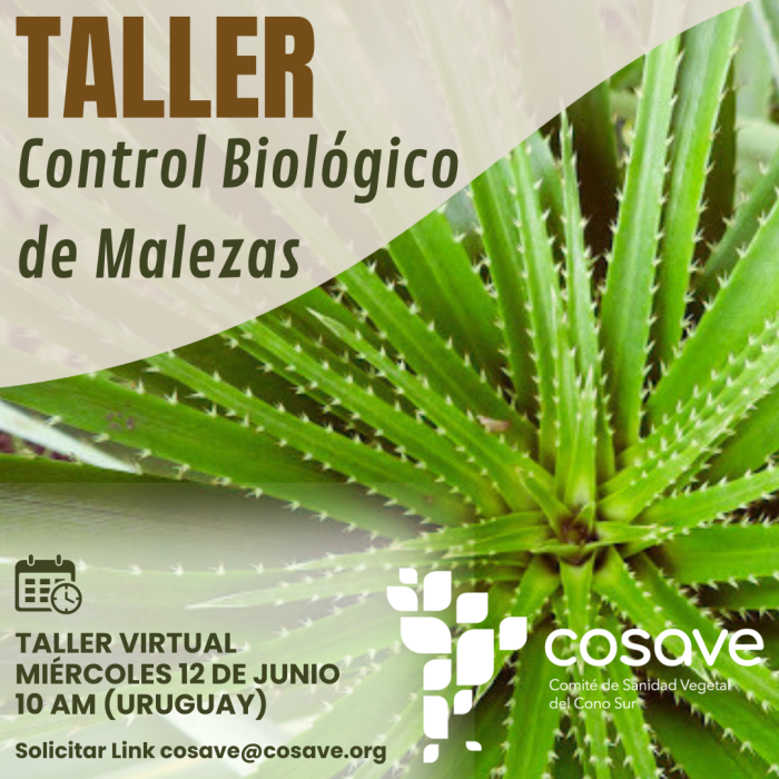  Control Biologico de Malezas