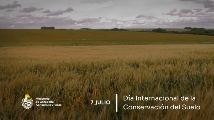 7 de julio – Día Internacional de la Conservación del Suelo