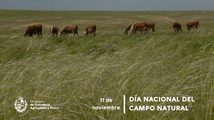 Día Nacional del Campo Natural