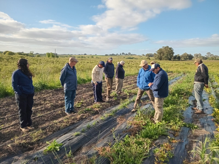 Día Nacional del Fitomejoramiento