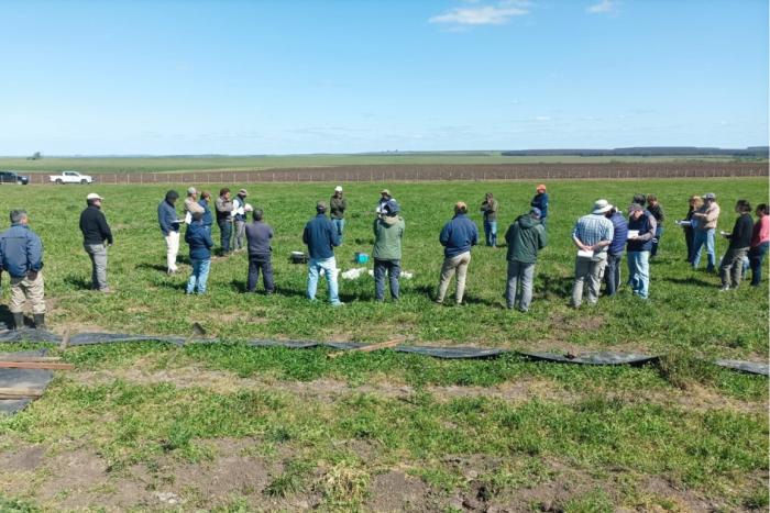 Riego por superficie: se realizó un taller práctico en el norte del país