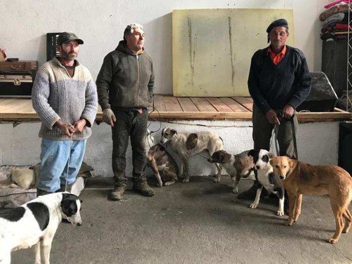 Esperando turno para identificación y castración canina