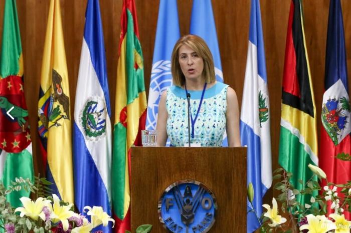 Coordinadora Reaf Uruguay Coordinadora Reaf Uruguay