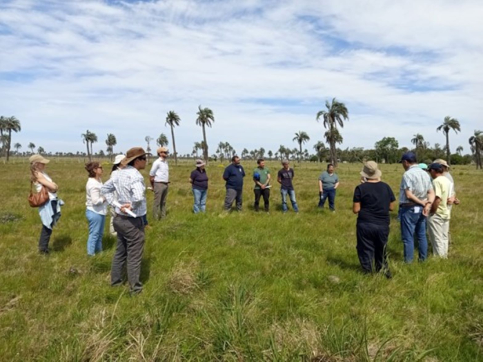 ITE MN Y PB ITE MN Y PB