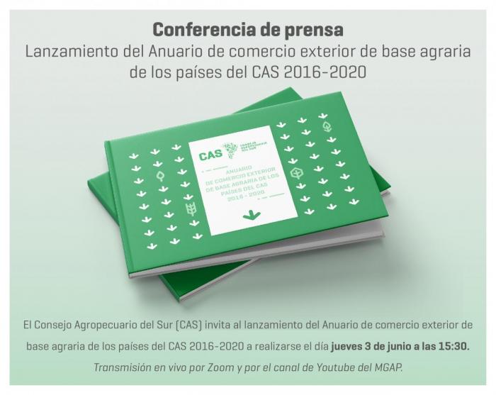 Comunicado de prensa virtual "