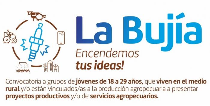 La bujía La bujía