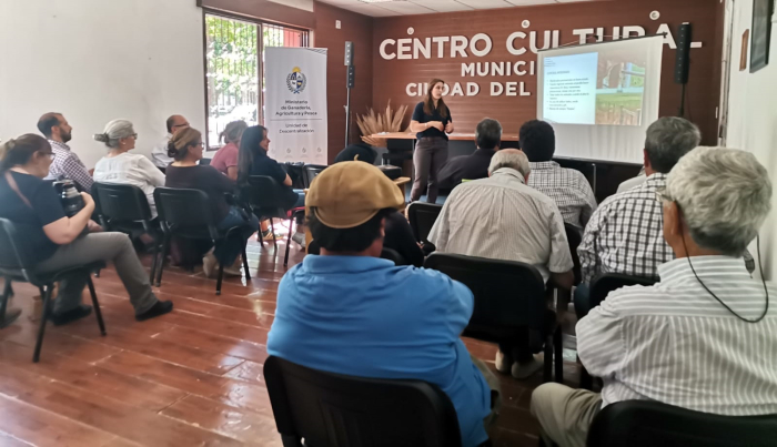 Charla en Mesa de Desarrollo Rural Ciudad del Carmen, con presentación en pantalla