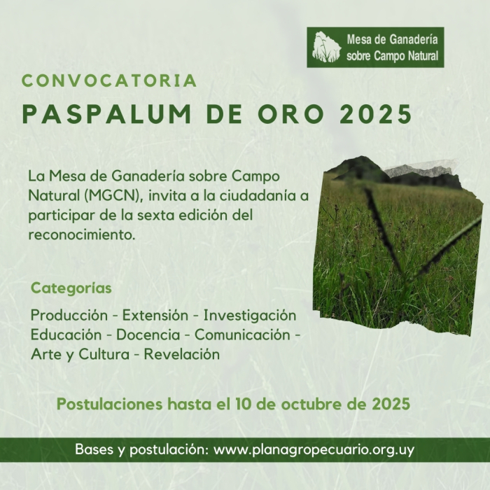 Convocatoria Paspalum de Oro 2025