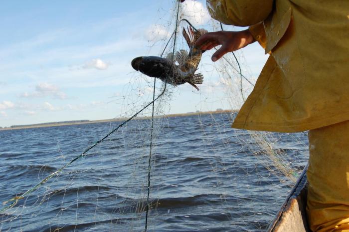 Pesca Río Negro