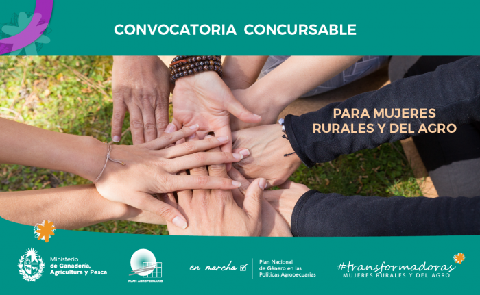 Convocatoria Transformadoras Convocatoria Transformadoras