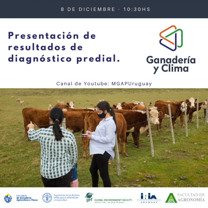 " Presentación de la etapa 1