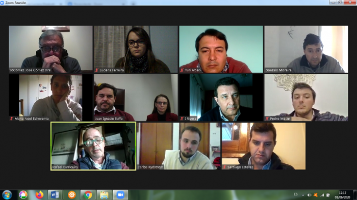 Reunion virtual del CAD de Rivera Pantalla de la reunión virtual con los participantes