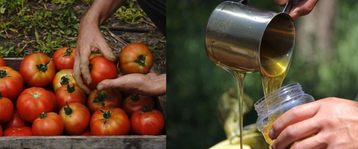 Tomates y miel Tomates y miel