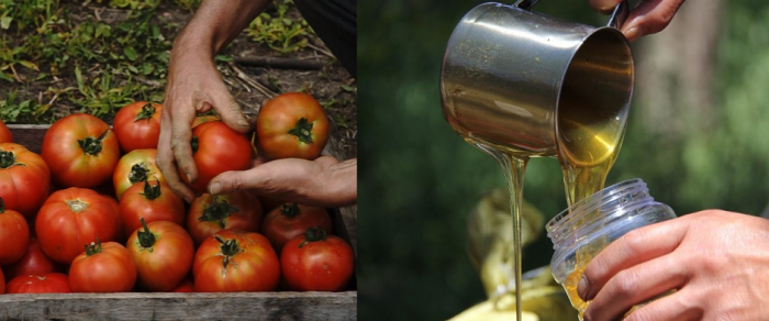 Tomates y miel