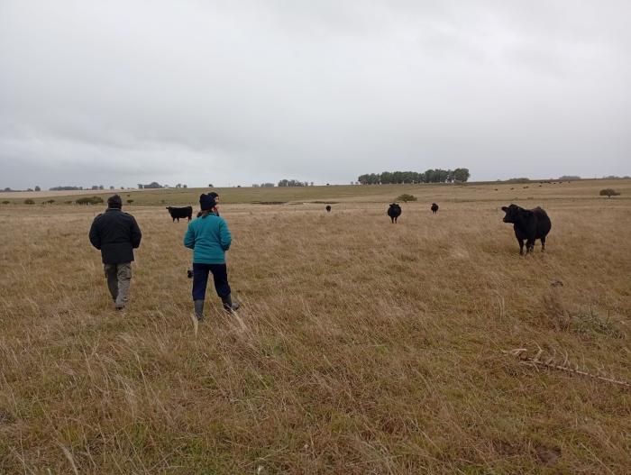 visita a predios ganaderos de Senda Agroecológica