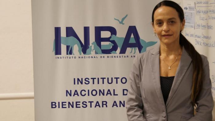 Primera sesión del Consejo Directivo del Instituto Nacional de Bienestar Animal