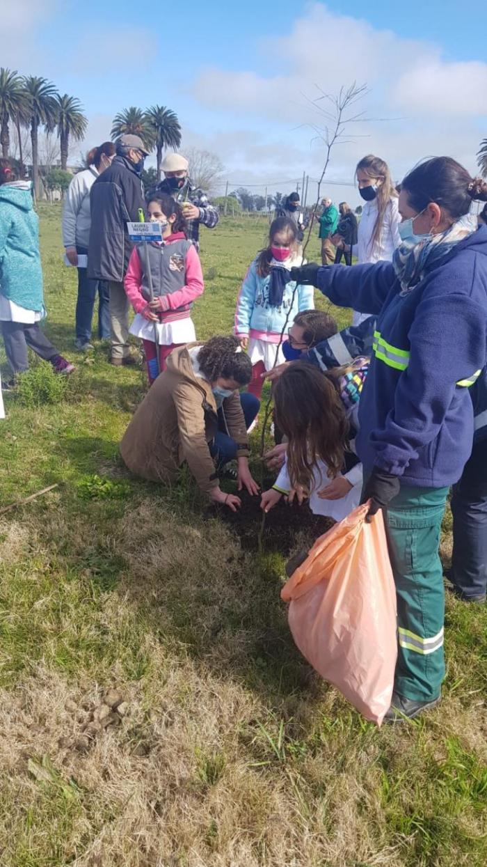 Plantatón Plantatón